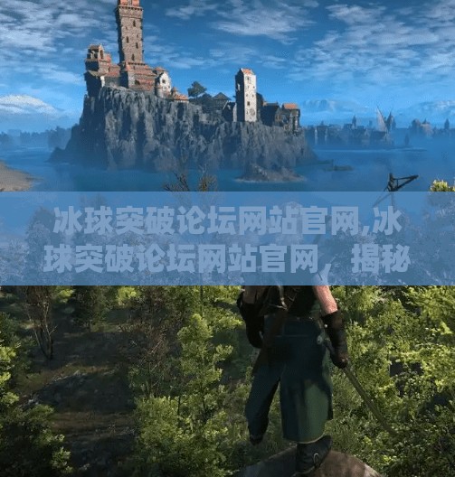 冰球突破论坛网站官网,冰球突破论坛网站官网，揭秘网络博彩陷阱，警惕高回报背后的法律与心理风险